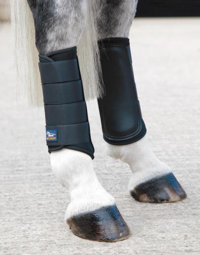 Westropp Guetres Ferme - SHOP HORSE